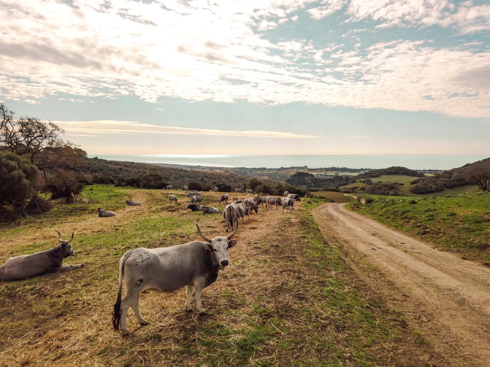 Agriturismo Morani 산타 세베라 외부 사진